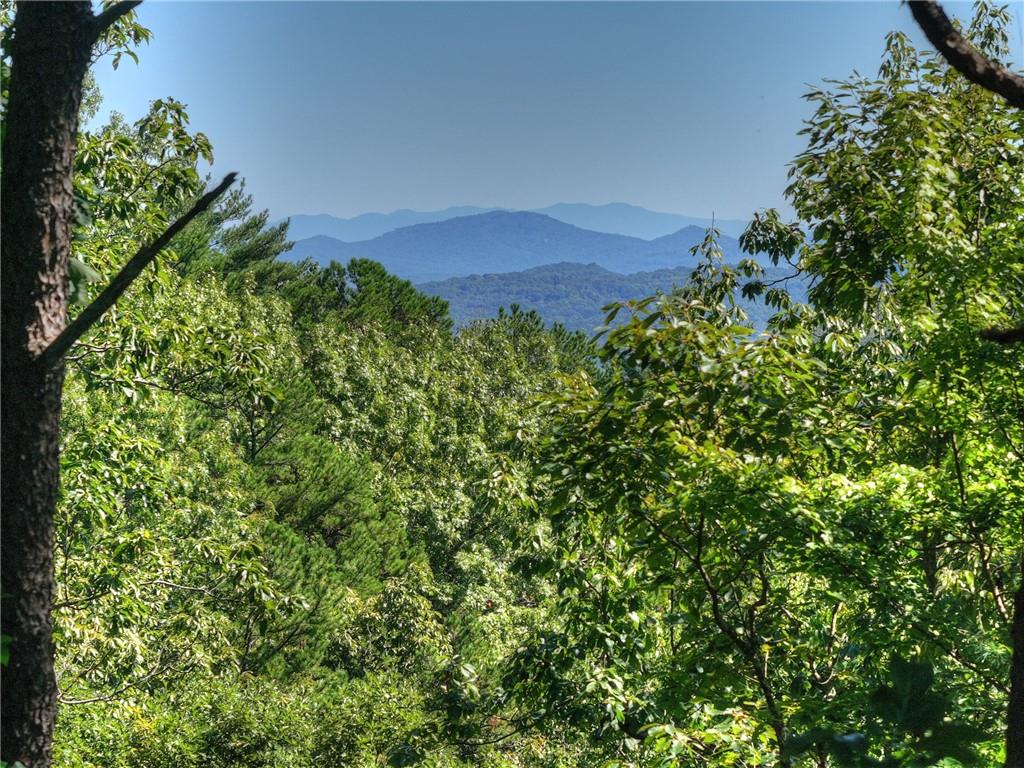 300 Cloudland Trace Property Photo 53