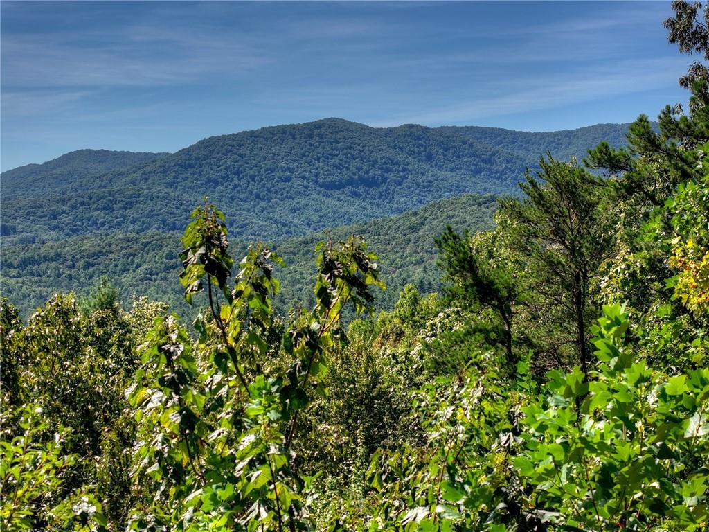 300 Cloudland Trace Property Photo 59