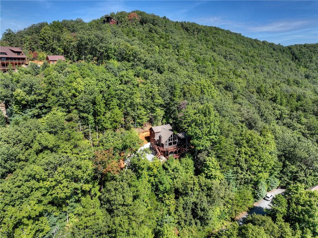 300 Cloudland Trace Property Photo 61