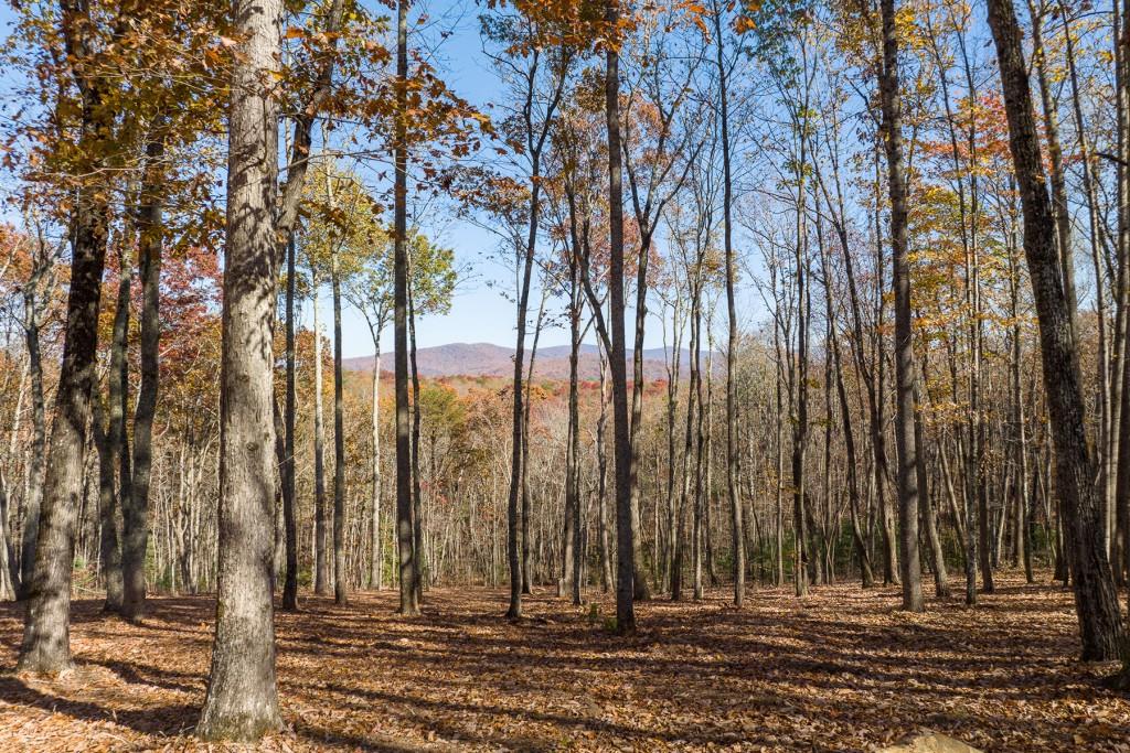 19r Settlement Trail Property Photo 1