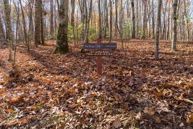 Lot 7 Joseph Anderson Trail Property Photo 1