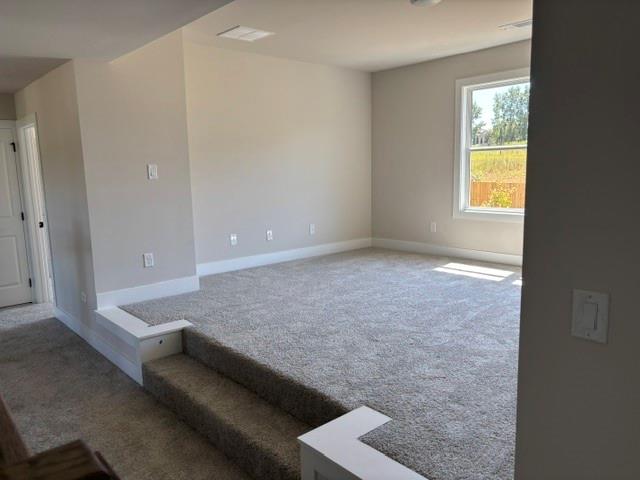 4255 Trinity Oaks Trail Property Photo 11