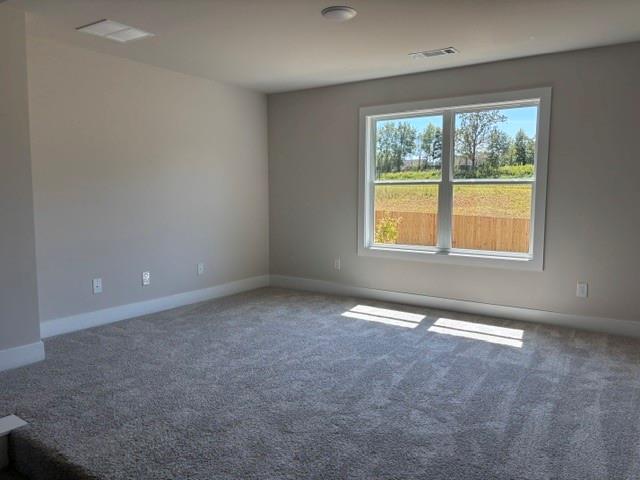 4255 Trinity Oaks Trail Property Photo 12
