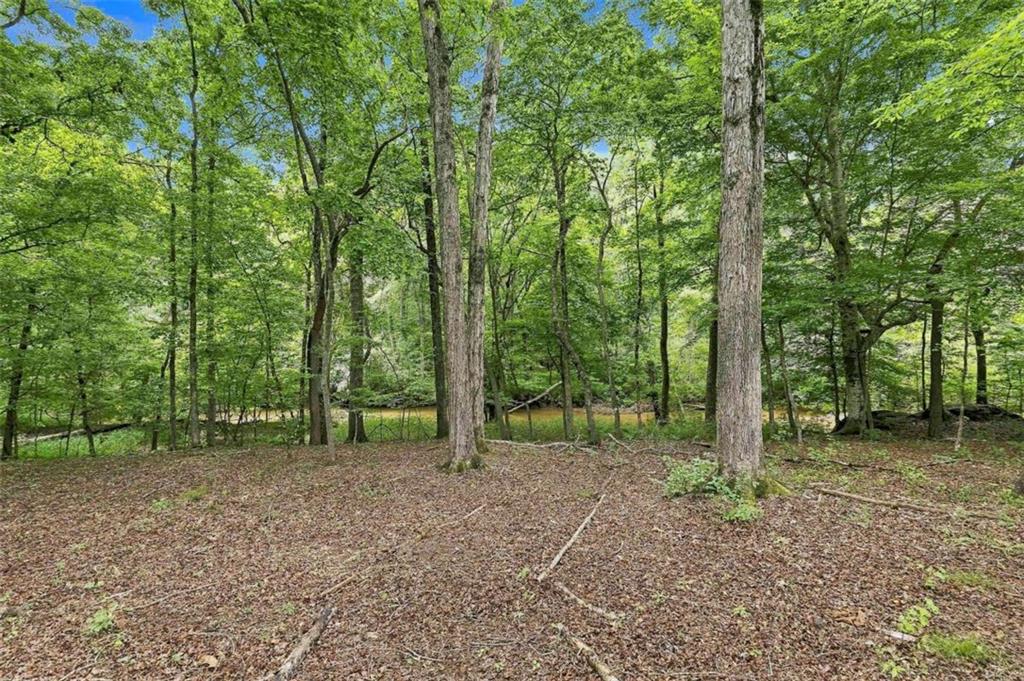 230 Windchime Way Property Photo 61