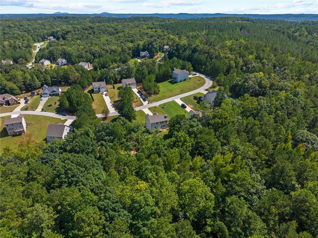 285 Shoals Trail Property Photo 73