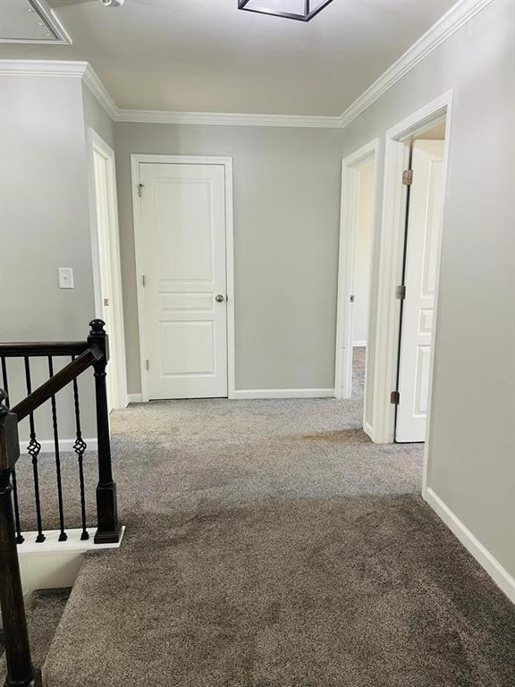 411 Timberleaf Road Property Photo 15