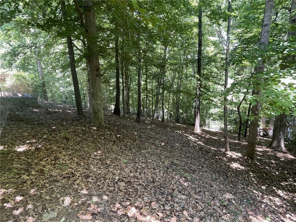 14 Rayelee Circle Property Photo 75