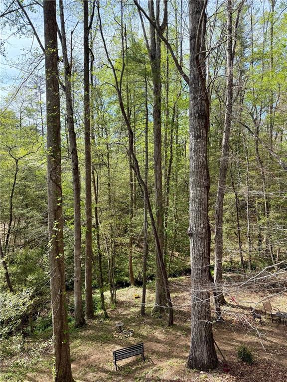 294 Brookwood Lane Property Photo 51