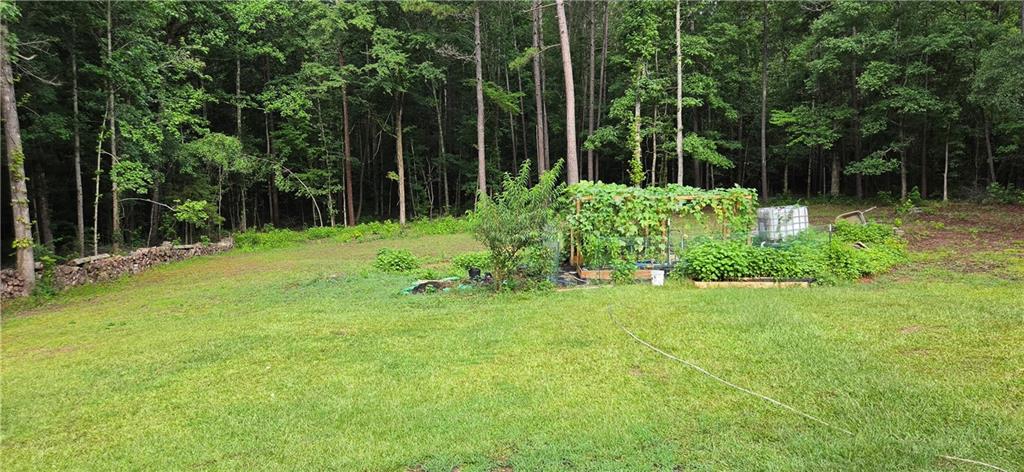 244 Timberline Road Property Photo 37