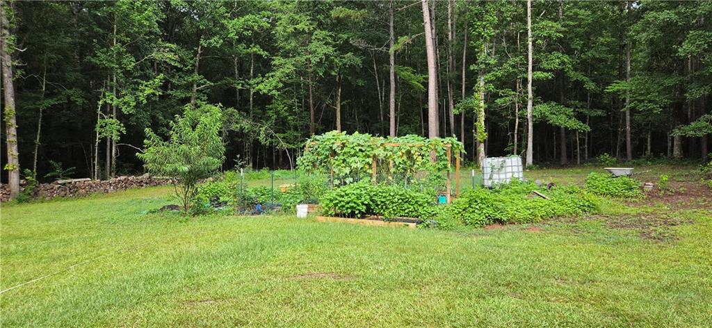 244 Timberline Road Property Photo 43