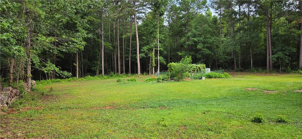 244 Timberline Road Property Photo 44