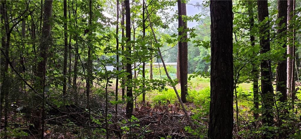 244 Timberline Road Property Photo 46