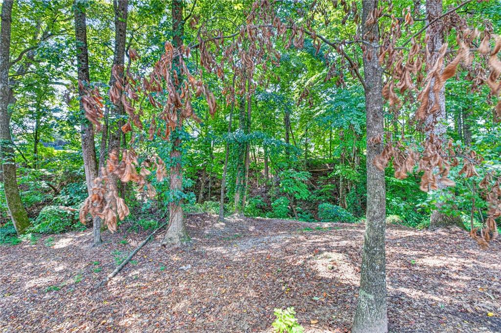 4000 Lantern Hill Drive Property Photo 72