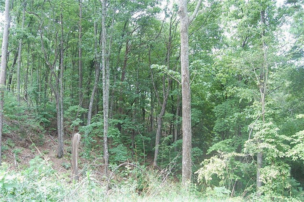 384 Back Pine Way Property Photo 2