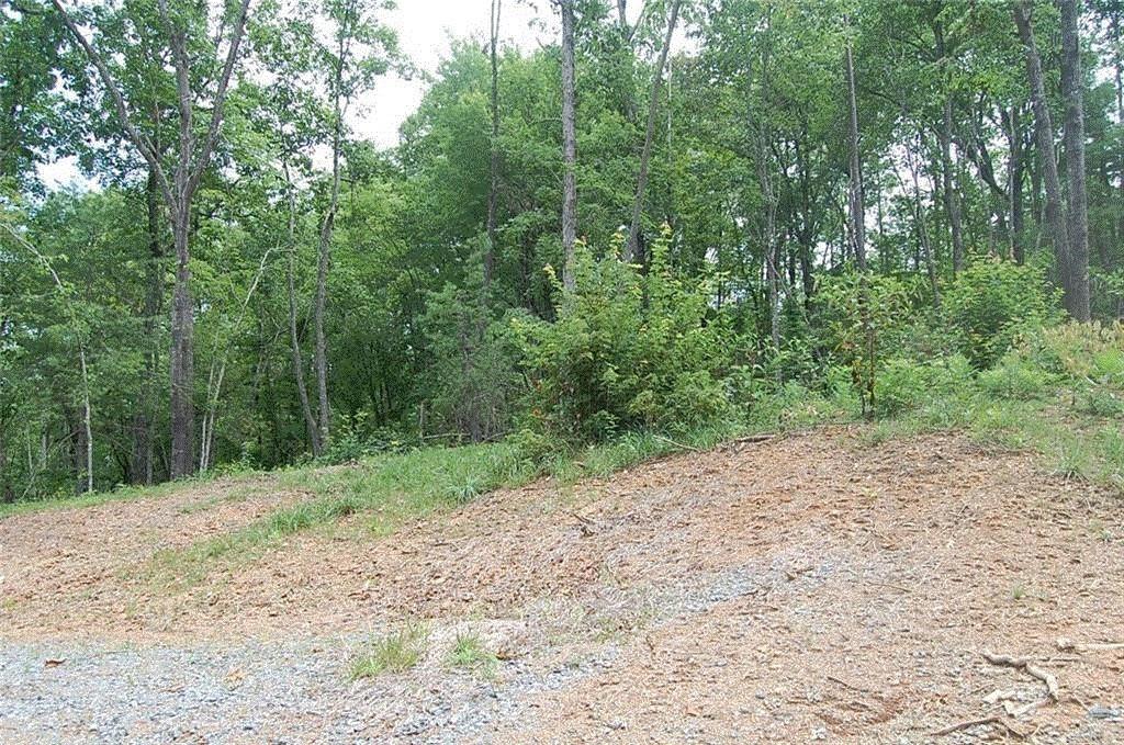 384 Back Pine Way Property Photo 4