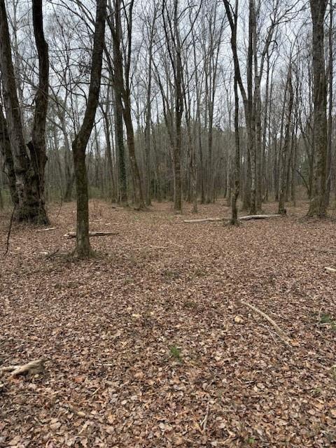 0 Center Road Property Photo 3