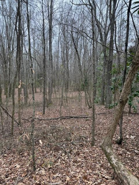 0 Center Road Property Photo 4