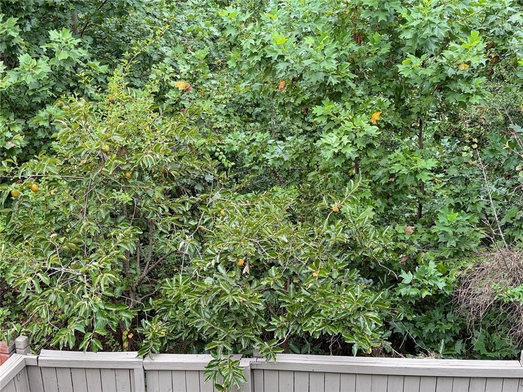 3525 Flycatcher Way Property Photo 16