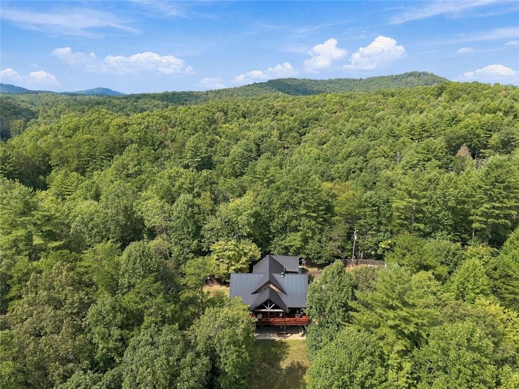 2124 Maxwell Road Property Photo 41