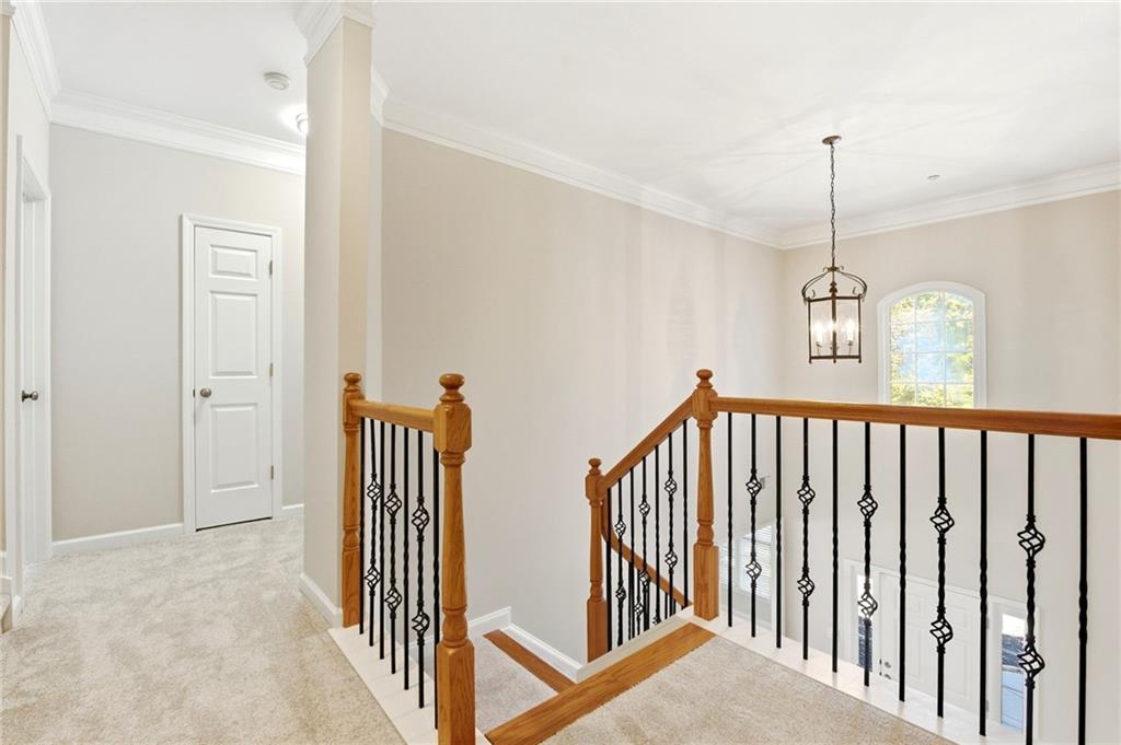 384 Cherry Tree Lane Property Photo 22