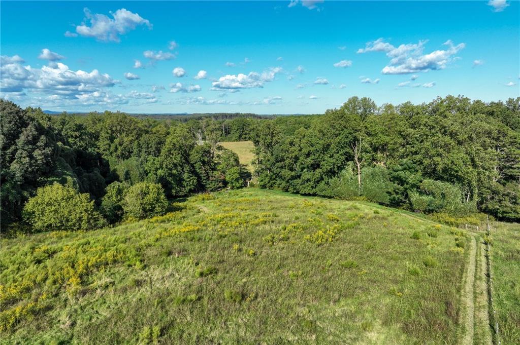 1646 Mitchell Road Property Photo 12