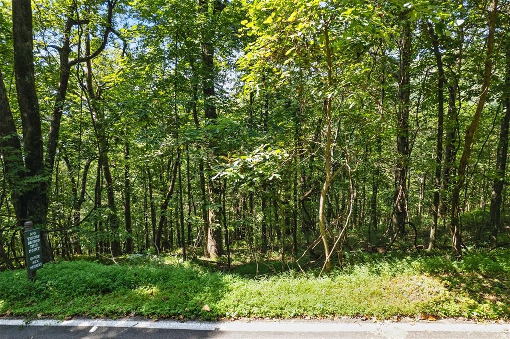 1207 Deer Run Ridge Property Photo 2