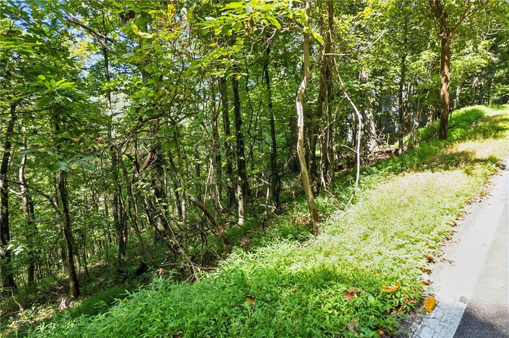 1207 Deer Run Ridge Property Photo 3
