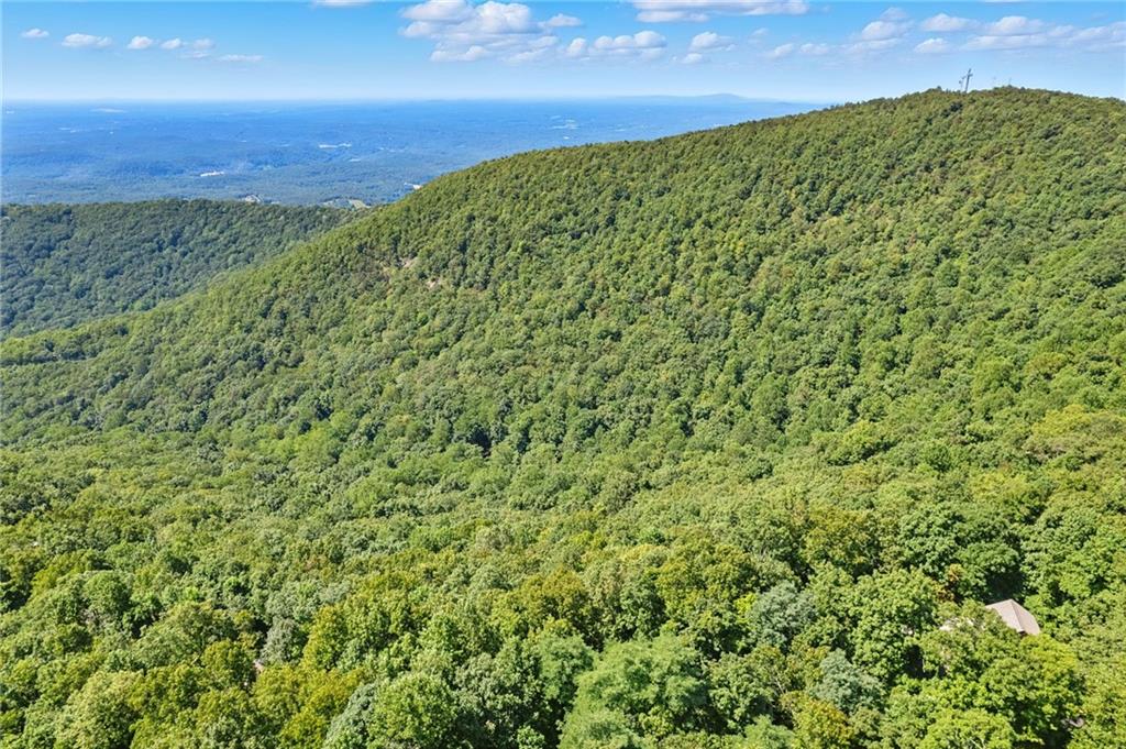 1207 Deer Run Ridge Property Photo 4