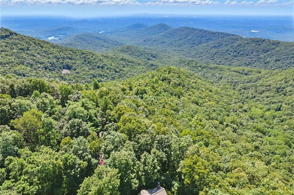 1207 Deer Run Ridge Property Photo 8