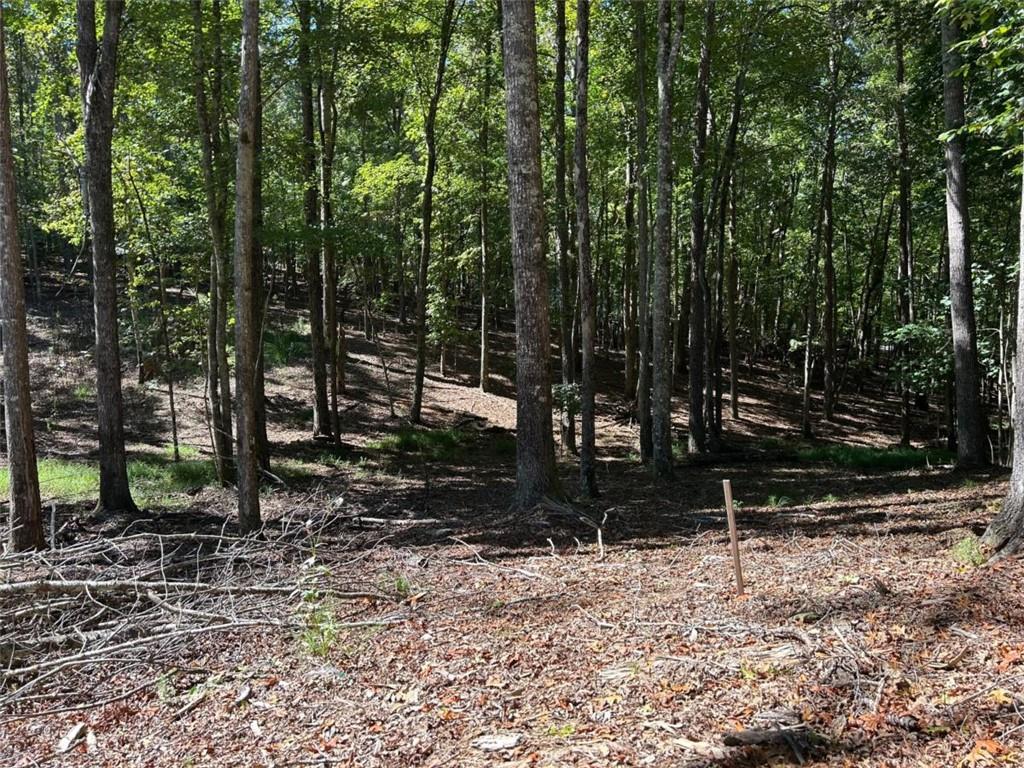 Lt 533 Eagle Mountain Drive Property Photo 1