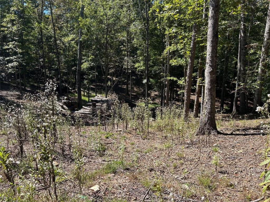Lt 533 Eagle Mountain Drive Property Photo 2