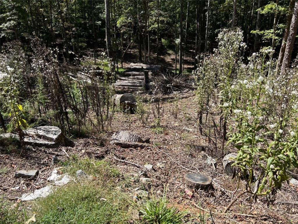 Lt 533 Eagle Mountain Drive Property Photo 3