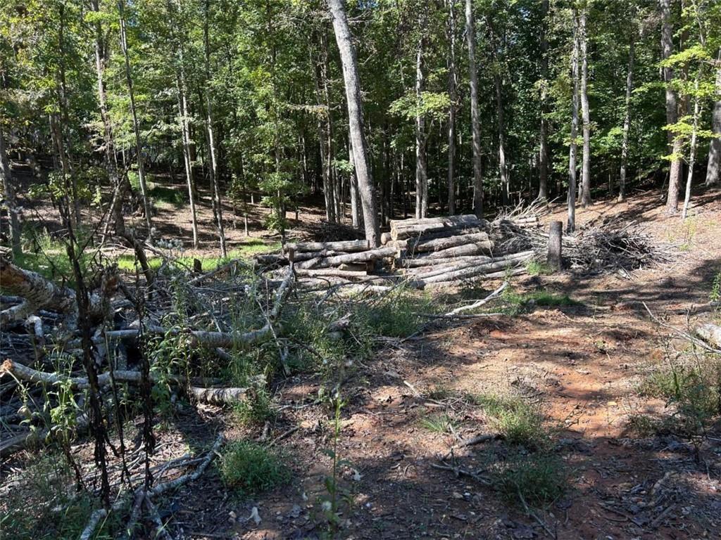 Lt 533 Eagle Mountain Drive Property Photo 4