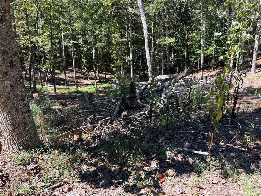 Lt 533 Eagle Mountain Drive Property Photo 5