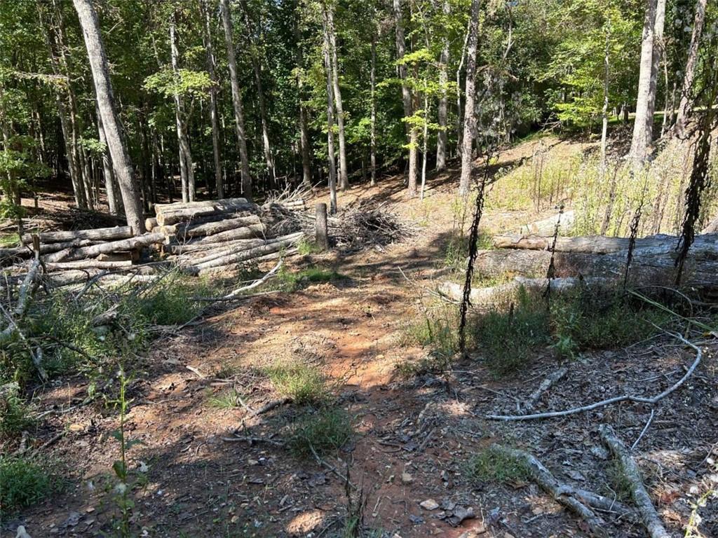 Lt 533 Eagle Mountain Drive Property Photo 6
