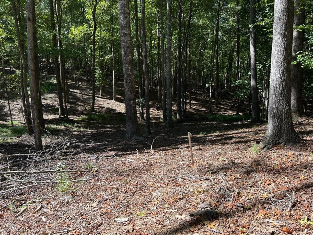 Lt 533 Eagle Mountain Drive Property Photo 8