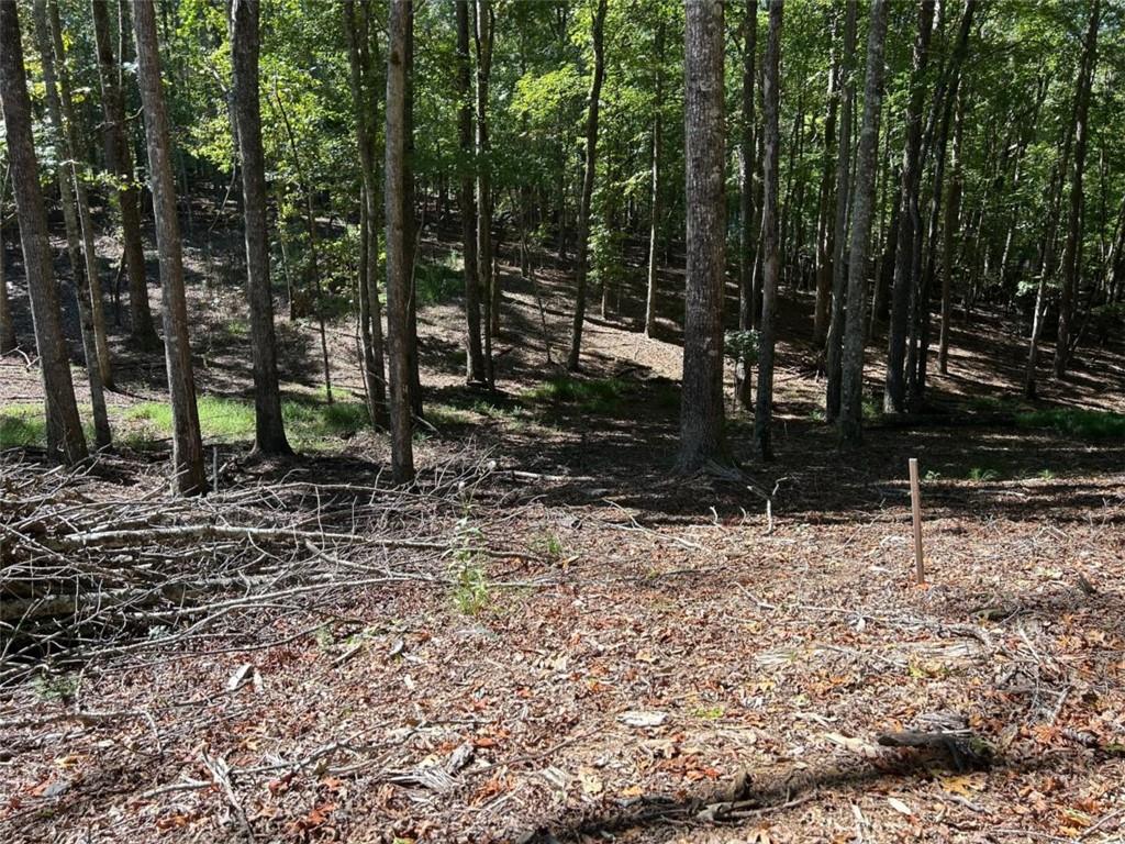 Lt 533 Eagle Mountain Drive Property Photo 10