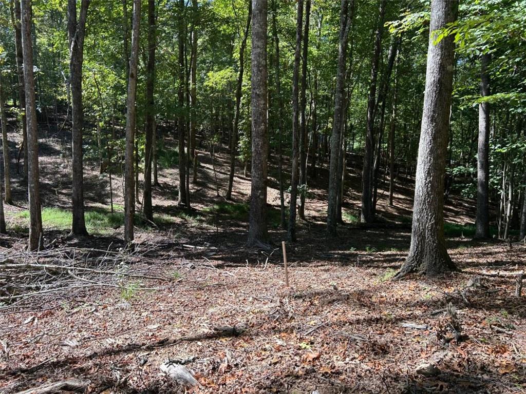 Lt 533 Eagle Mountain Drive Property Photo 11