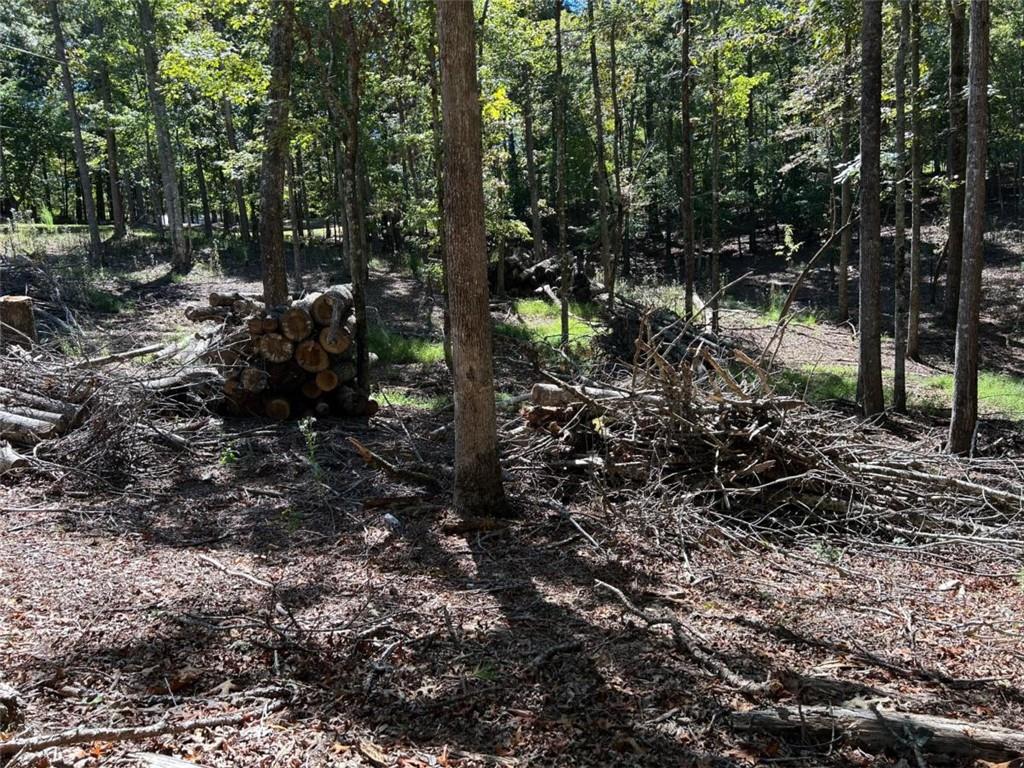 Lt 533 Eagle Mountain Drive Property Photo 12
