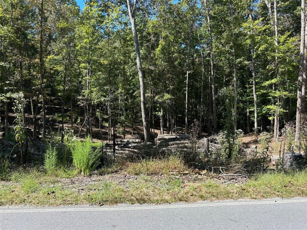 Lt 533 Eagle Mountain Drive Property Photo 13