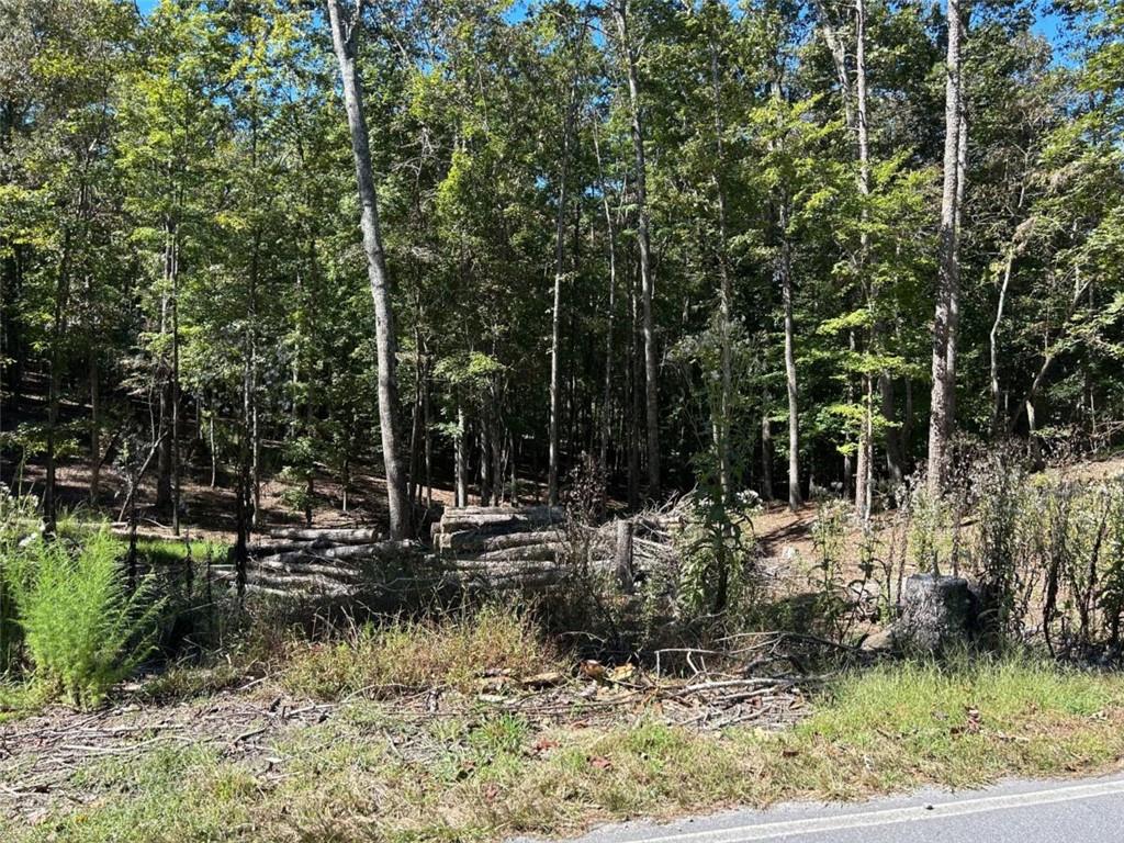 Lt 533 Eagle Mountain Drive Property Photo 14