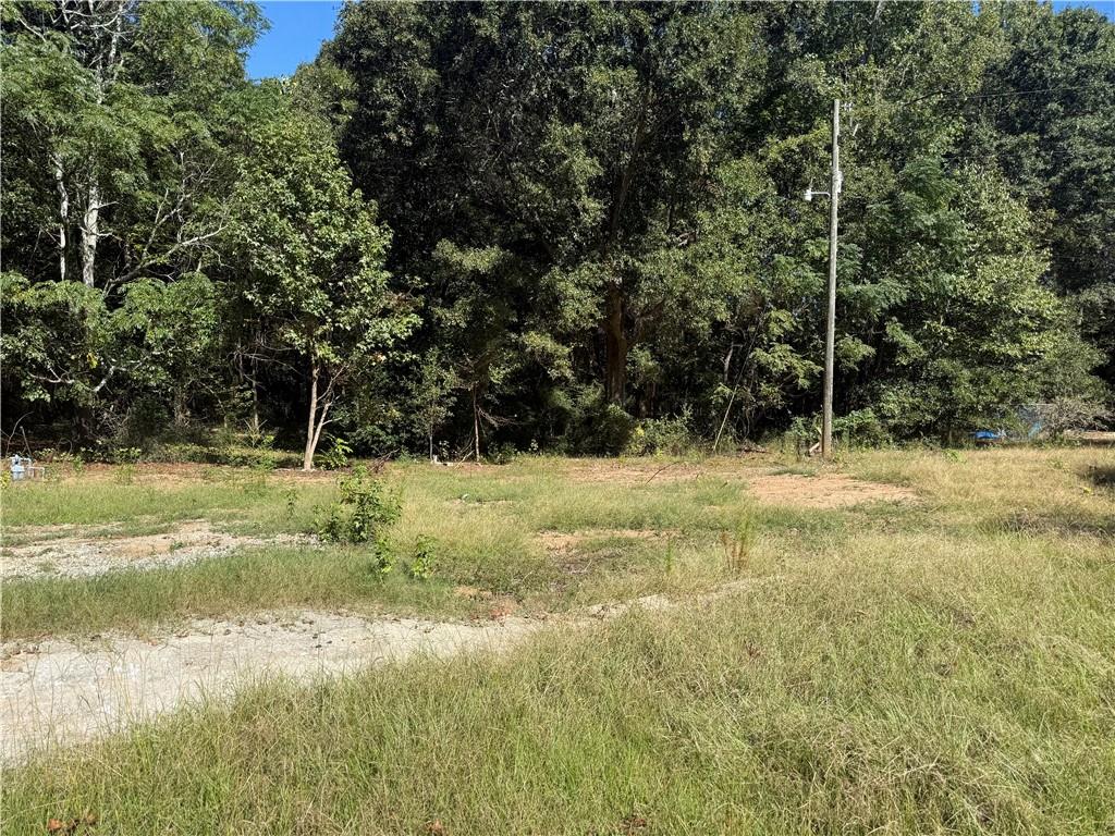 5731 Mount Olive Road Property Photo 4