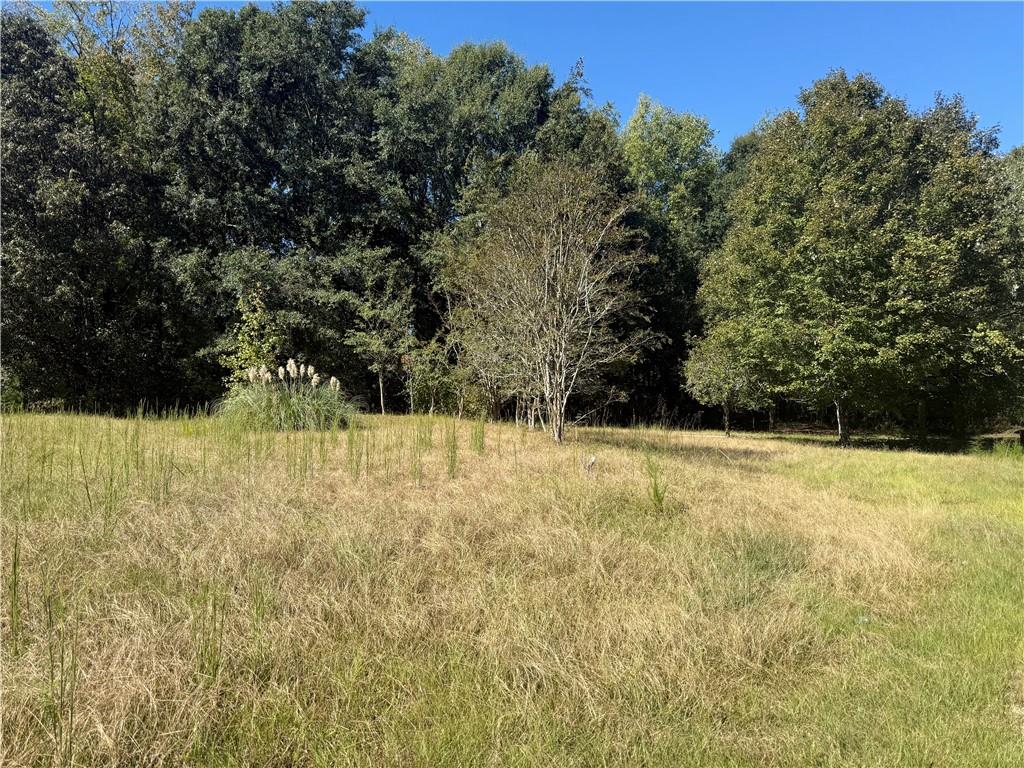 5731 Mount Olive Road Property Photo 6