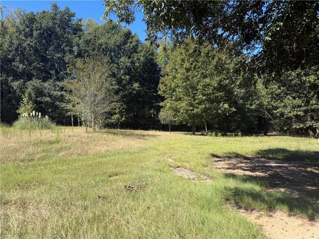 5731 Mount Olive Road Property Photo 7
