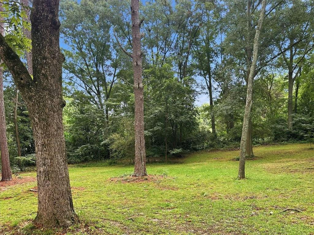 216 Rhett Drive Property Photo 64