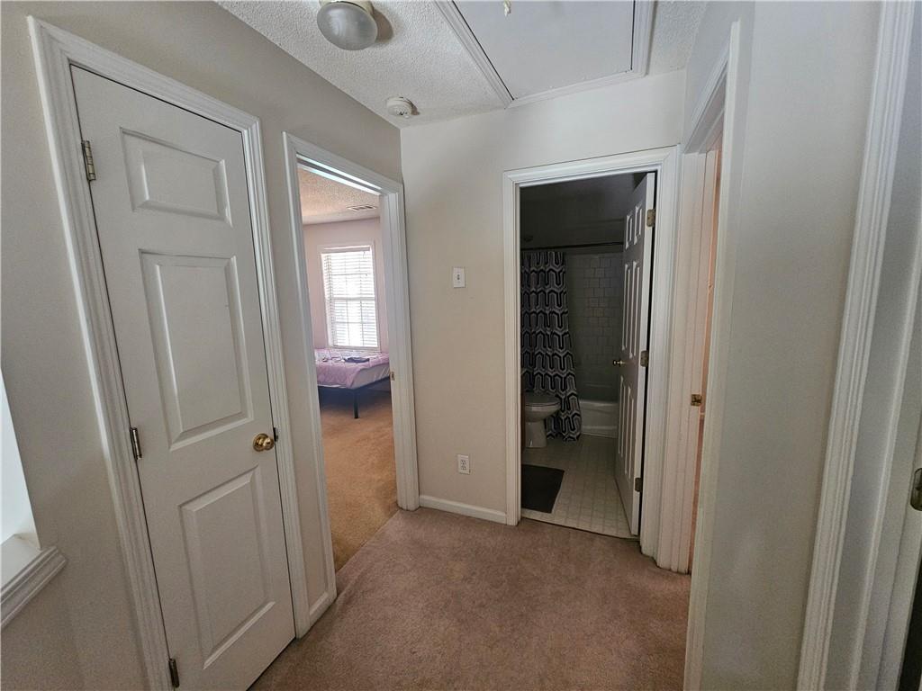 3215 Oxwell Drive Property Photo 16