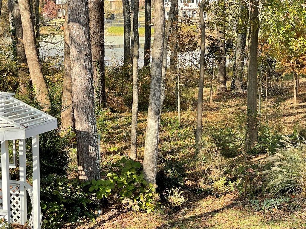 1081 Colony Drive Property Photo 5