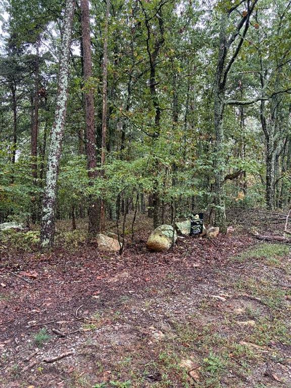 0 Quartz Court Property Photo 1