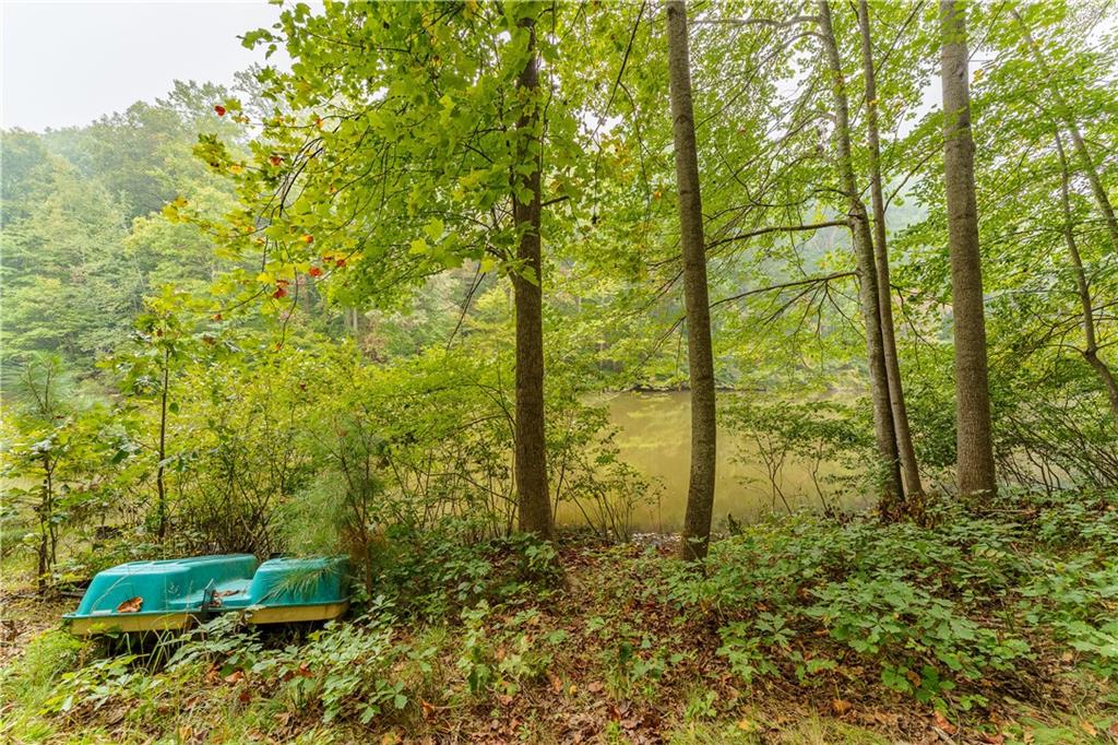 172 Leaf Lake Drive Property Photo 76