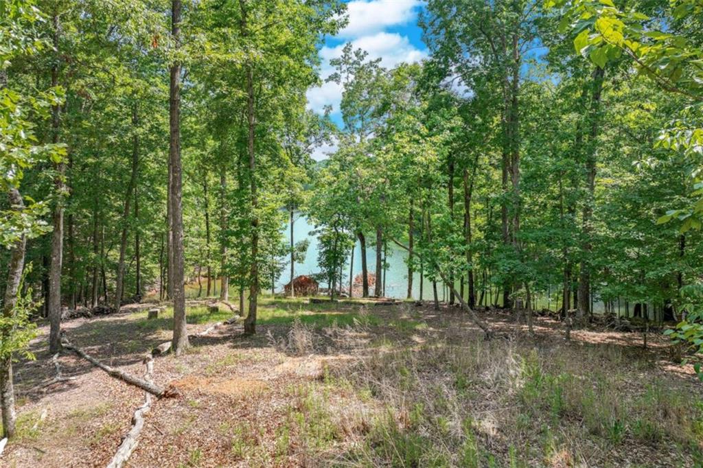 6226 Random Winds Bluff Property Photo 68